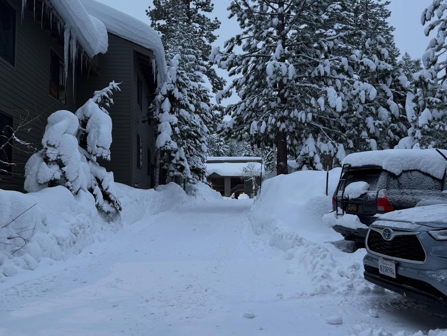 Snow 11